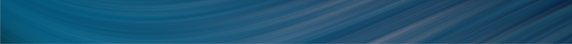 Stowarzyszenie Białe Żagle Chełmża